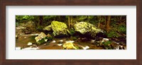 Framed Stream flowing through a Forest, Great Smoky Mountains National Park, Tennessee
