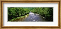 Framed River Passing through a Forest, Pigeon River, Cherokee National Forest, Tennessee