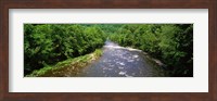 Framed River Passing through a Forest, Pigeon River, Cherokee National Forest, Tennessee