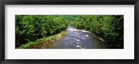 Framed River Passing through a Forest, Pigeon River, Cherokee National Forest, Tennessee