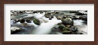 Framed Rocks in Little Pigeon River, Great Smoky Mountains National Park, Tennessee