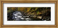 Framed River Flowing through a Forest, Chittenango Creek, New York State