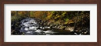 Framed River Flowing through a Forest, Chittenango Creek, New York State
