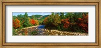 Framed River flowing through a Forest, Swift River, White Mountain National Forest, New Hampshire