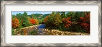 Framed River flowing through a Forest, Swift River, White Mountain National Forest, New Hampshire