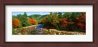 Framed River flowing through a Forest, Swift River, White Mountain National Forest, New Hampshire