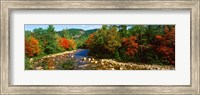 Framed River flowing through a Forest, Swift River, White Mountain National Forest, New Hampshire