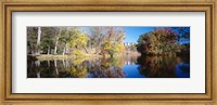 Framed Reflection of Trees in a lake, Biltmore Estate, Asheville, North Carolina