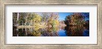 Framed Reflection of Trees in a lake, Biltmore Estate, Asheville, North Carolina