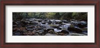 Framed Rocks in a River, Great Smoky Mountains National Park, Tennessee