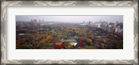 Framed Trees in a Park, Central Park, Manhattan