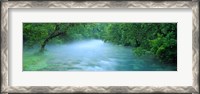 Framed Creek flowing through a Forest, Ozark National Scenic Riverways, Ozark Mountains, Missouri