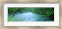 Framed Creek flowing through a Forest, Ozark National Scenic Riverways, Ozark Mountains, Missouri