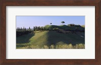 Framed Trees on Rolling Green Hills, Tuscany, Italy
