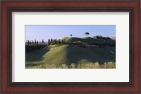 Framed Trees on Rolling Green Hills, Tuscany, Italy