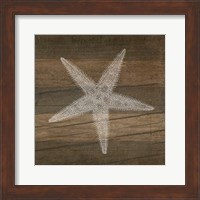 Framed 'Rustic Starfish - White' border=