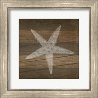 Framed 'Rustic Starfish - White' border=