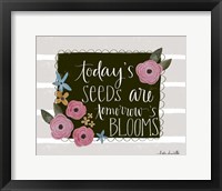 Framed Today's Seeds