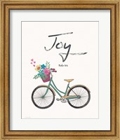 Framed Joy (bike)