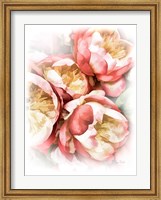 Framed Peach Peony