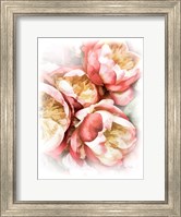 Framed Peach Peony