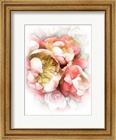 Framed Peach Peony II