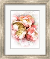 Framed Peach Peony II