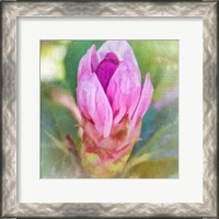 Framed 'Spring Bud' border=