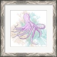 Framed 'Octopus Purple' border=