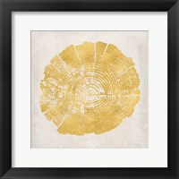 Tree Stump Golden I Framed Print