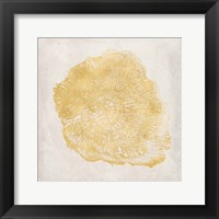 Tree Stump Golden III Framed Print
