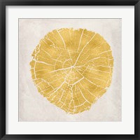 Framed Tree Stump Golden IV
