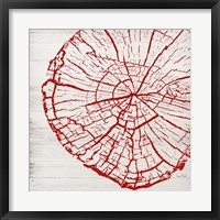 Framed Tree Rings II