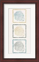 Framed Stump Triptych I