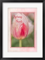 Framed Spring Fever