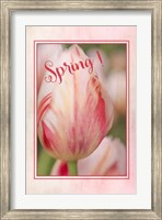 Framed Spring!