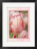 Framed Spring!