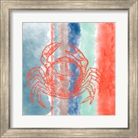 Framed 'Crab Stripes' border=