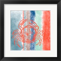 Crab Stripes Framed Print