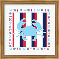 Framed Ahoy XV
