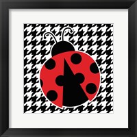 Ladybug IV Framed Print