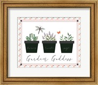 Framed 'Garden II' border=