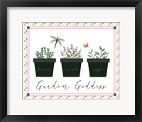 Framed Garden II