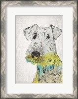 Framed Abstract Dog III