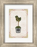 Framed Topiary Chick