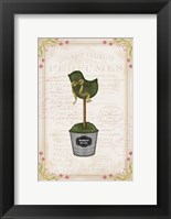 Framed Topiary Chick