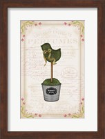 Framed Topiary Chick