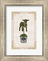 Framed Topiary Lamb