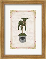 Framed Topiary Lamb