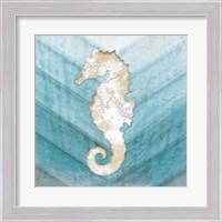 Framed 'Coastal Seahorse' border=